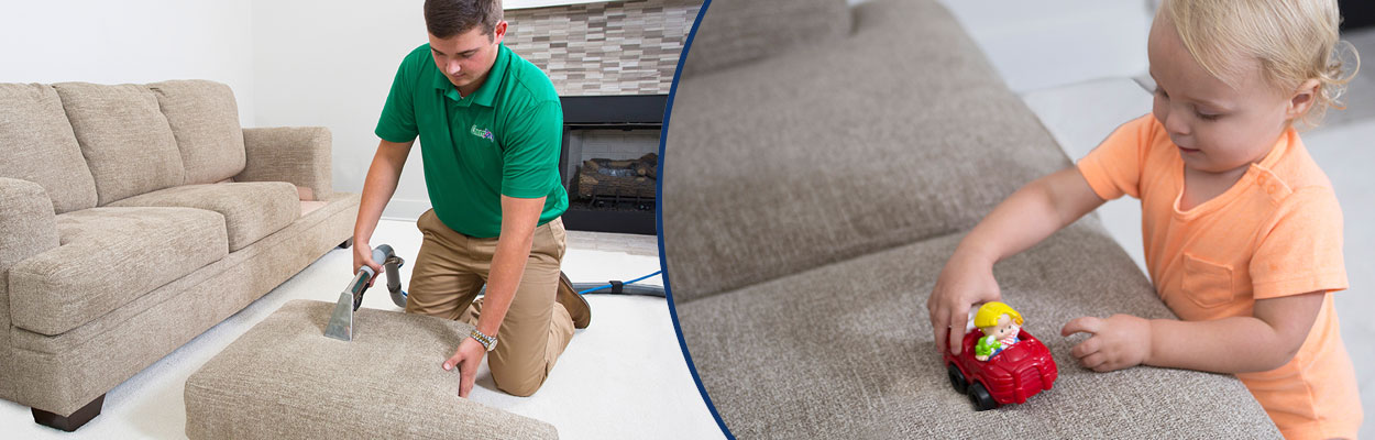 Upholstery Cleaning & Furniture Cleaning
